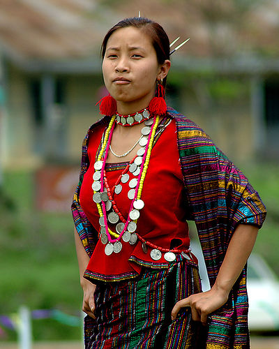 File:A Nishi or Nyishi tribesman from Arunachal Pradesh wearing the  traditional head-dress having a wooden Hornbill beak. DSCF7344 (18).JPG -  Wikimedia Commons