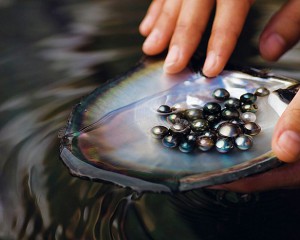 Tahitian Black Pearls