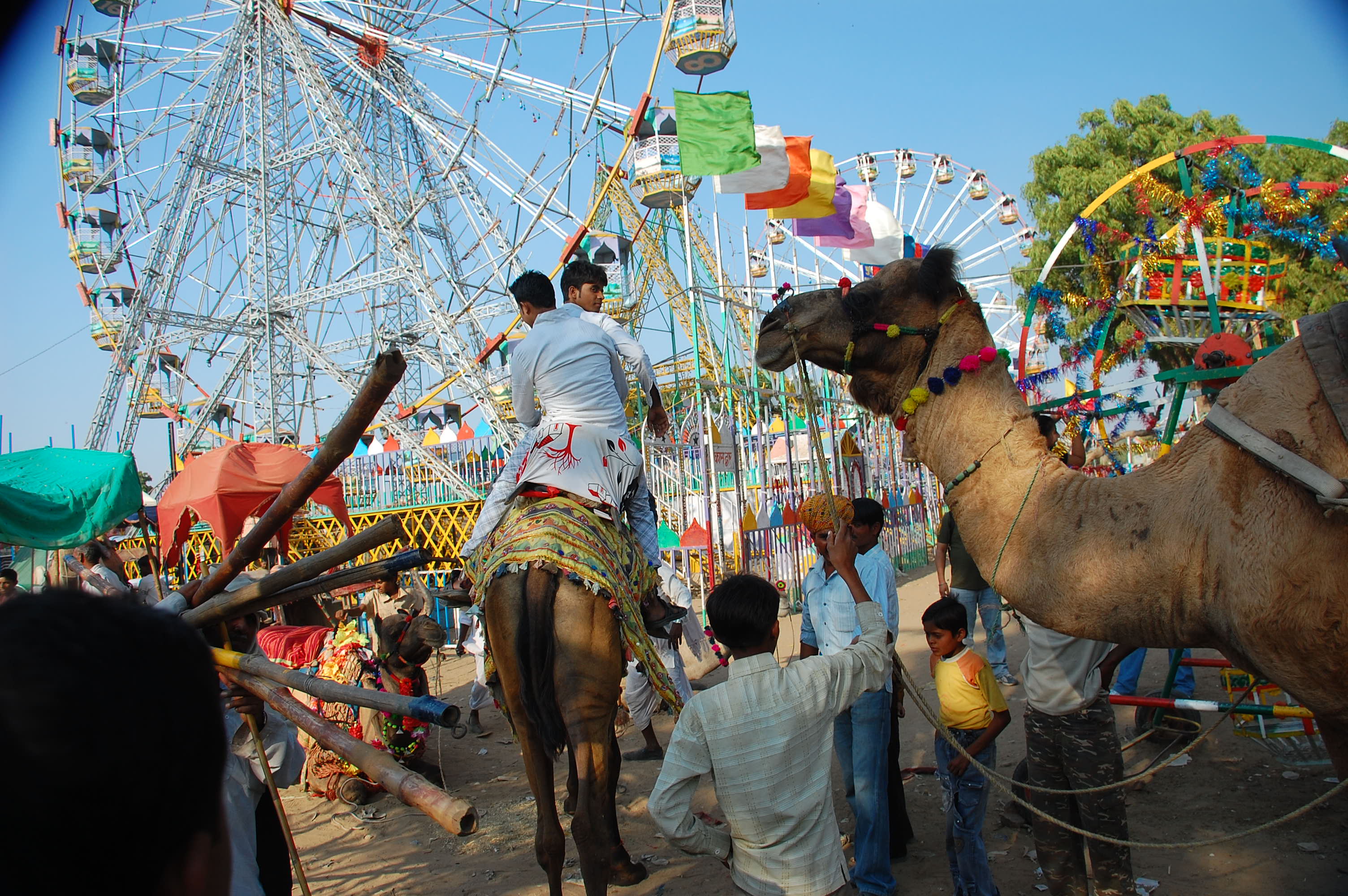 Learn About Pushkar Mela In Rajasthan Utsavpedia